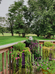 Obraz premium Colorful potted flowers and trailing greenery on wooden deck with lush green lawn and tall trees in background, vibrant backyard garden scene in summer, outdoor plant decor inspiration