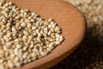 Macrophotography of raw quinoa grains

