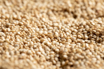 Macrophotography of raw quinoa grains