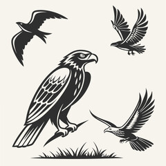 Professional eagle and birds silhouettes isolated on white background
