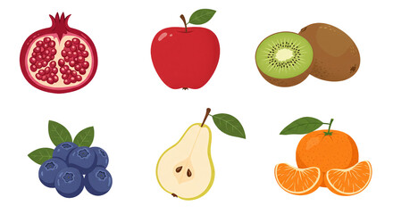 Fresh healthy fruits vector illustration pomegranate apple kiwi blueberry pear and orange design