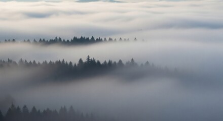 Fototapeta premium Misty mountain landscape with fog and trees nature background
