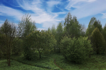 Rural landscape against the blue sky.