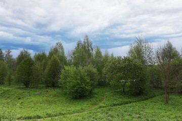Fototapeta premium Rural pasture landscape with plain green grass.