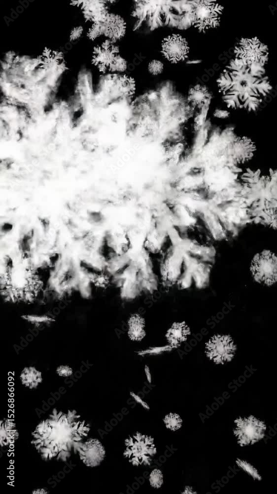 Poster delicate white snowflakes of varying sizes gently drift against an infinite black void, softly illum
