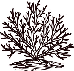 minimalist-sea-coral-with-a-delicate-branching-for (2).eps