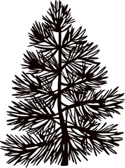 sketch-of-a-pine-tree-with-detailed-branches----.eps