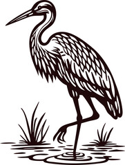 Hand drawn standing heron in wetland with grass and water in monochrome vintage engraved