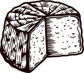 Vintage hand drawn cheese wheel with wedge removed, detailed engraving isolated illustration