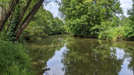 Rivière Radbuza à Valcha Tchéquie