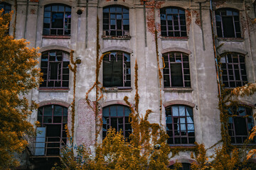 Old industrial building with broken windows and overgrown vines on the facade. Autumn colors add...
