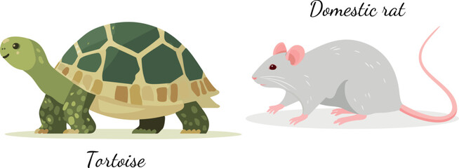 Exotic pets vector illustration editable tortoise and rat  