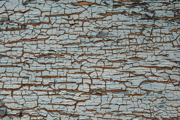 Close-up of peeling paint on an old wooden surface. Cracks and layers reveal aged texture and...
