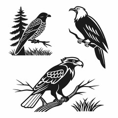 Professional bird silhouettes set isolated on white