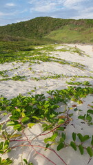 river in the mountains