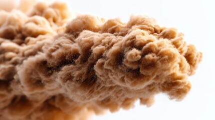 Fototapeta premium Abstract image shows brown dust cloud moving. Cloud of particles, sandstorm effect, brown powder explosion.