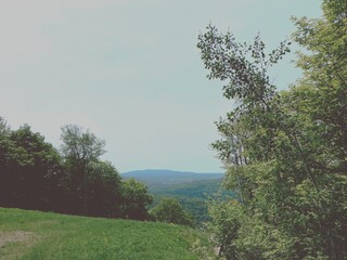 Photo vintage d'un paysage de montagne en été avec forêt et ciel bleu, style rétro