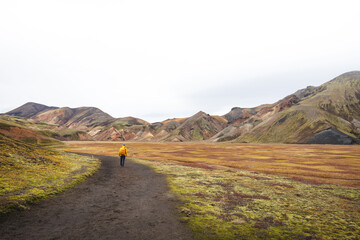 Hiker walks along a dirt path through the colorful rhyolite mountains of Landmannalaugar in Icelands Highlands, a peaceful journey into wild volcanic beauty
