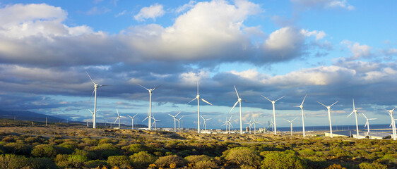 Wind turbines generating electricity in Montana Pelada, Tenerife, Canary Islands,Spain.Sustainable renewable green energy concept
