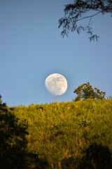 Full Moon Rising Over a Sugarcane Field in Sandoná, Nariño