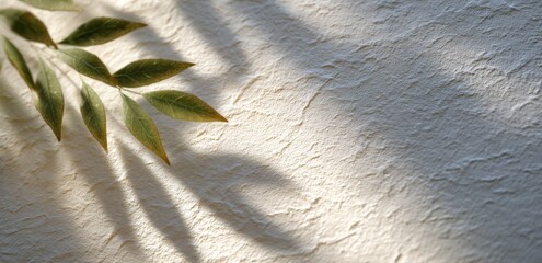 Sunlight highlights leaves on textured surface. Natural beauty, simplicity, tranquility, organic elegance.