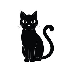 black cat on white background