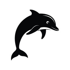 dolphin isolated on white background