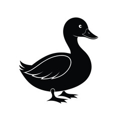 duck vector illustration