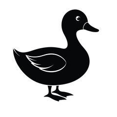 duck on white background