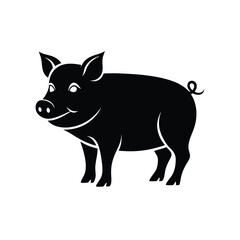 vector illustration of a Pig