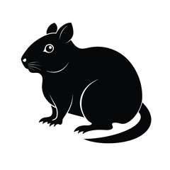 squirrel on a branch