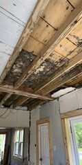 Severe Ceiling Mold Damage from Water Leak – Inspection & Repair Tips

