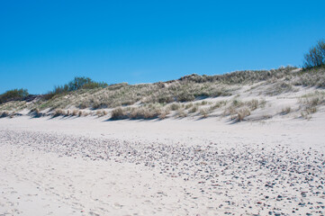 Grass and pebbles sand dunes landscape under  blue sky