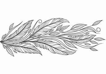 black and white feathers