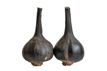Whole black garlic heads isolated on transparent background