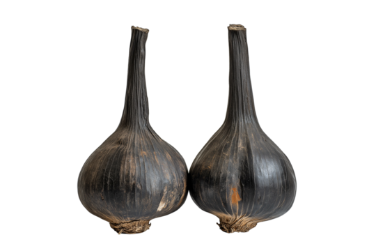 Whole black garlic heads isolated on transparent background - Powered by Adobe