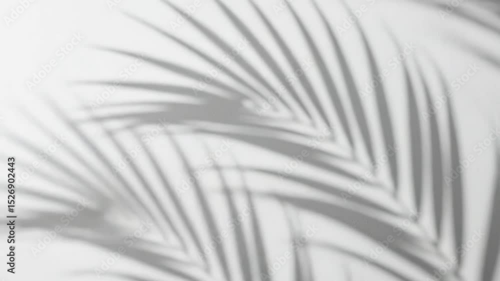 Poster the shadows of palm leaves create a delicate and textured pattern, isolated on white background