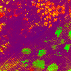 Brown Animal Close Up. Neon Safari. Green Safari