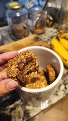 homemade chocolate and oatmeal cookies