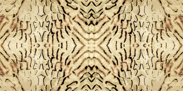 Snake Painting. Craft Animal Print Cobra. Brown