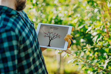 Farmer with tablet standing outdoors in orchard, learning how to trim a tree.