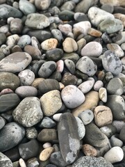 Close-up of smooth, water-worn pebbles and rocks.