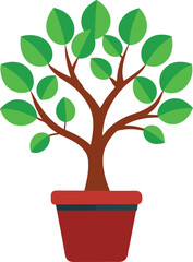 Healthy Tree Growing In A Pot.