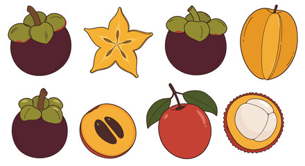 Vibrant Exotic Fruit Illustrations Mangosteen, Starfruit, and More