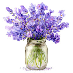 Beautiful Lavender Flowers in Jar on Isolated White Background