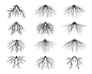 Set of Black Tree Roots. Outline Illustration and nature image.