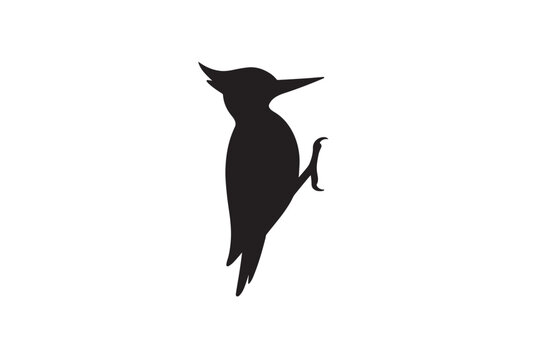 Woodpecker silhouette on white background.01