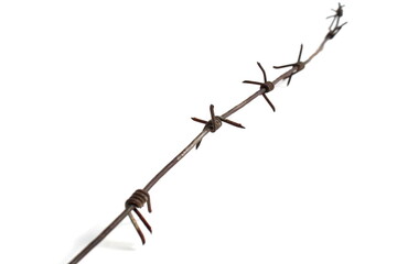 Barbed wire lies on a white background.	