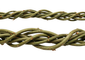 Naklejka premium Intertwined green twigs seamless pattern isolated on transparent background