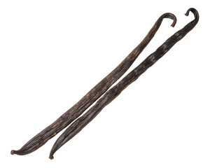 Obraz premium Single dried vanilla bean pod with rich dark brown wrinkled texture and curled tip, isolated on white background